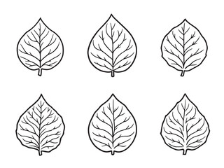 Tamarind leaf vector line art illustration
