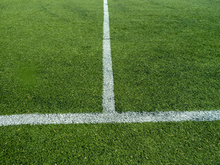 Obraz premium A white line is drawn on a green field