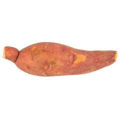 yam isolated on white background