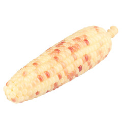 waxy corn isolated on white background