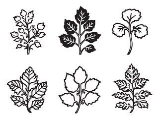 White Dead Nettle Leaf vector line art illustration