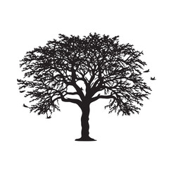 Fototapeta premium Neem Tree Branches Silhouette Isolated