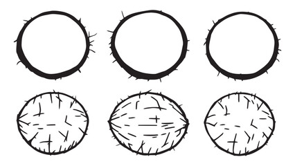 Coconut set line art
