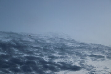 flying through the sky