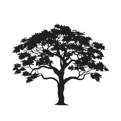 Obraz premium Neem Tree Silhouette Black and White Vector
