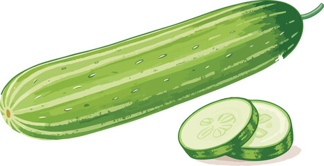 Cucumber in white background illustration vector design, Cucumber illustration vector design