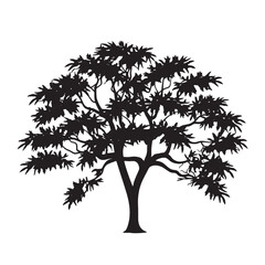 Traditional Neem Tree Silhouette Image