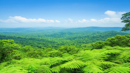 Obraz premium The lush green jungle of the daie valley showcasing breathtaking views and vibrant natural ecosystems in nature