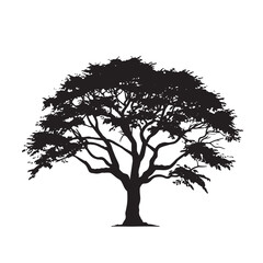 Fototapeta premium Neem Tree Leafy Silhouette Isolated