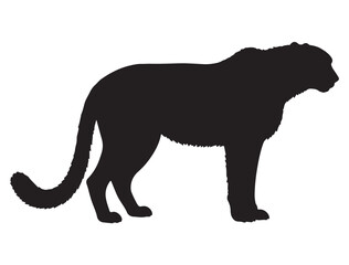 CHEETAH SILHOUETTE WHITE BACKGROUND