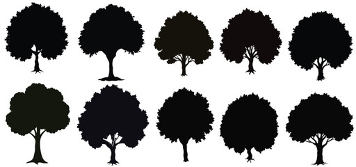 Tree silhouettes mega set in cartoon graphic design. Bundle elements of black outline oaks, maples, pines and other simple trees shapes for landscaping forest. Vector illustration isolated on white ba
