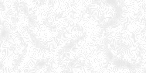 White topography topology vector white background fresh contour map texture. white seamless pattern Abstract background with a wave Topography and geography map grid abstract backdrop.	