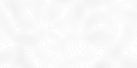 White topography topology vector white background fresh contour map texture. white seamless pattern Abstract background with a wave Topography and geography map grid abstract backdrop.	