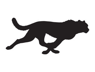 CHEETAH SILHOUETTE WHITE BACKGROUND