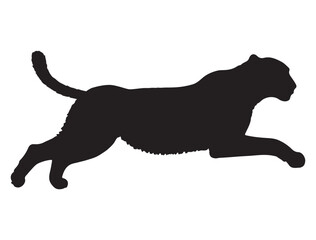 CHEETAH SILHOUETTE WHITE BACKGROUND
