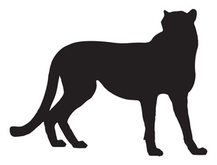CHEETAH SILHOUETTE WHITE BACKGROUND