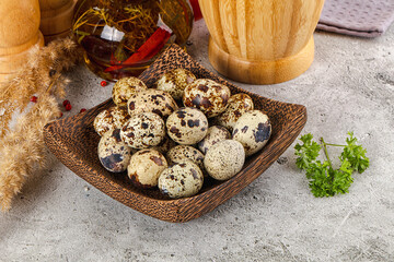 Raw quail egg in the bowl