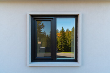 Close-Up Portrait of Home Exterior Glass Window with Black Frame and Tree Reflection