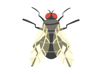 set of an Parasite Disease Housefly Illustration