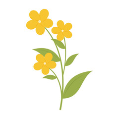 Various colorful flowers with green leaves on a white background. Spring and Summer Season