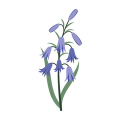 Simple colorful flowers and leaves on a white background. Spring and Summer Season