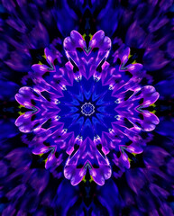 Obraz premium a mesmerizing kaleidoscope of Bluebells flower petals arranged in fractal symmetry, glowing softly against a deep indigo void, subtle prism refractions, created b y generative ai