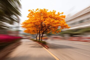 Lone autumn tree in city street with radial motion blur highlighting seasonal transition and isolated foliage brilliance amid urban backdrop