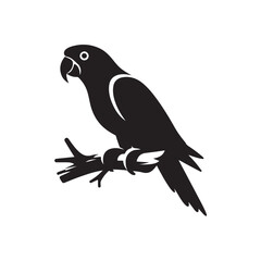 Parrot Sitting on Branch Silhouette