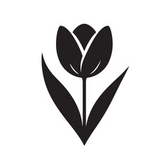 Obraz premium Tulip silhouette with clean minimal curves
