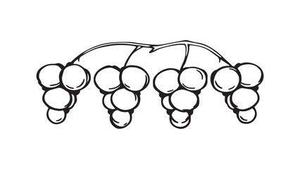 Grapes set line art