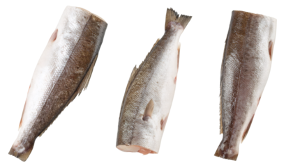Fresh haddock fish displaying multiple perspectives, clean transparent backdrop with precise clipping path