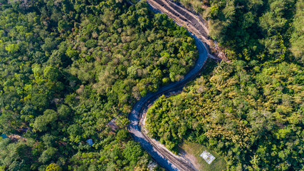 Top view green forest trees background, Beautiful green nature background