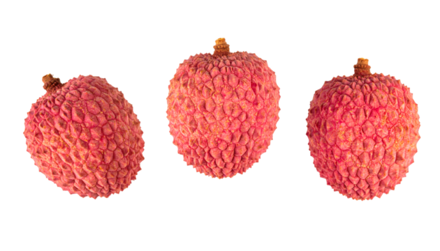 Set of three fresh lychees rotating on a transparent background