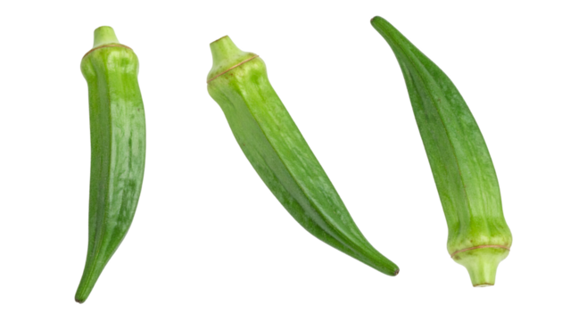 Three fresh okras rotating on transparent background