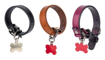 Leather pet collars with bone shaped tags dangling against transparent backdrop