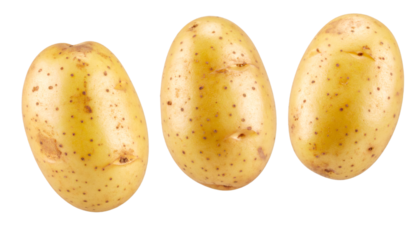 Set of three raw potatoes from different angles isolated on transparent background with clipping path