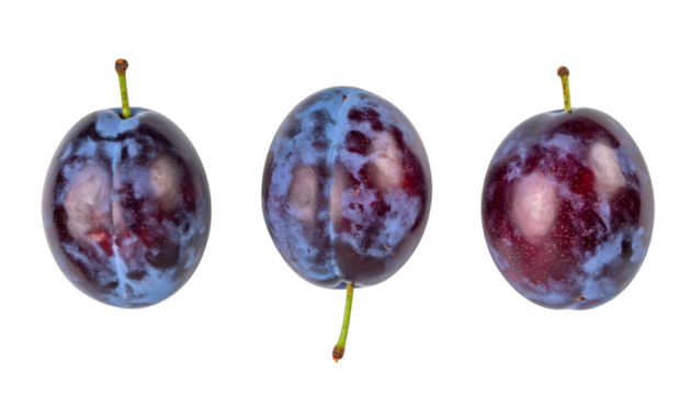 Three ripe plums rotating on transparent background