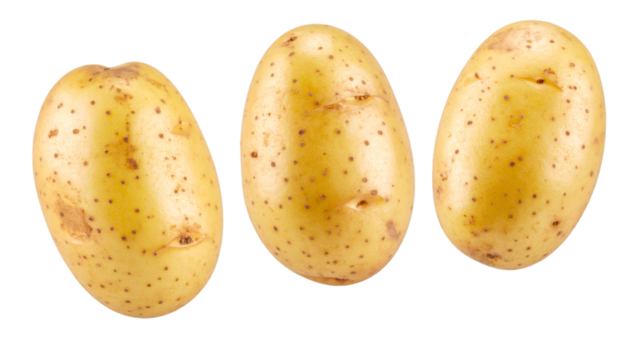 Set of three raw potatoes from different angles isolated on transparent background with clipping path