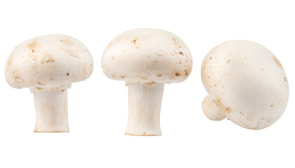 Fototapeta premium Set of three white mushrooms from different angles, isolated on transparent background with clipping path