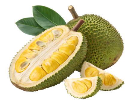 Partially opened jackfruit showing yellow pods on transparent background - Powered by Adobe
