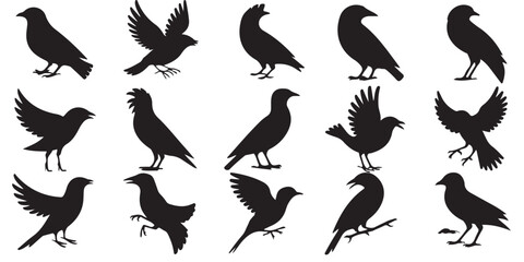 set of vector icon bird silhouette	

