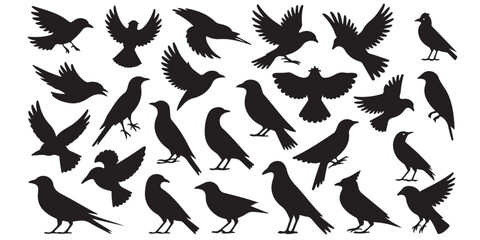set of vector icon bird silhouette	

