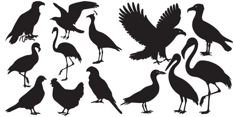 set of vector icon bird silhouette	
