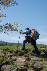 A middle-aged overweight male tourist wearing a cap and carrying a large backpack hikes uphill over rocky terrain, using trekking poles for support. Adventure and perseverance outdoors.