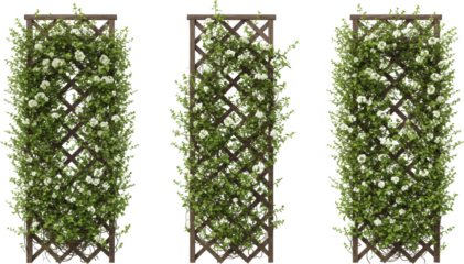 Lush White Flower Trellis Wooden Garden Lattice Blooming Vines Spring Garden Decor Outdoor