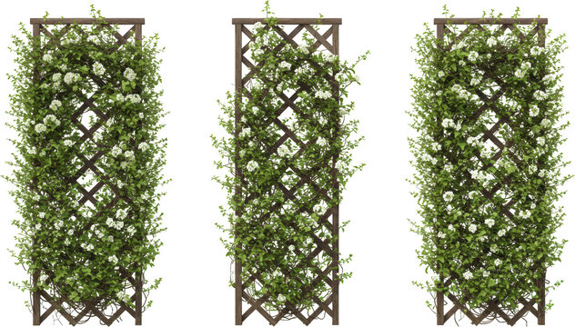 Lush White Flower Trellis Wooden Garden Lattice Blooming Vines Spring Garden Decor Outdoor