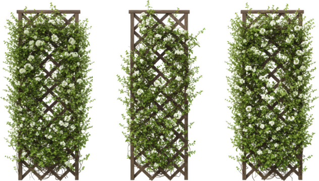 Lush White Flower Trellis Wooden Garden Lattice Blooming Vines Spring Garden Decor Outdoor