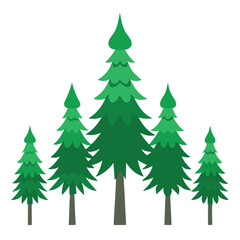 Cedar trees icon on white background 