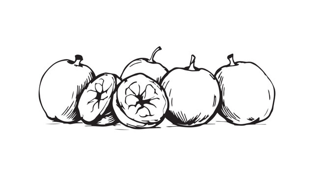 black and white apples, sliced, whole clip art preview