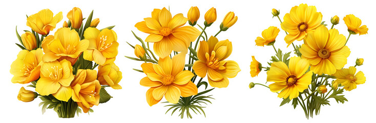 Set of beautiful yellow flowers bright floral arrangement for decorative and botanical themes, isolated on transparent background, cut out